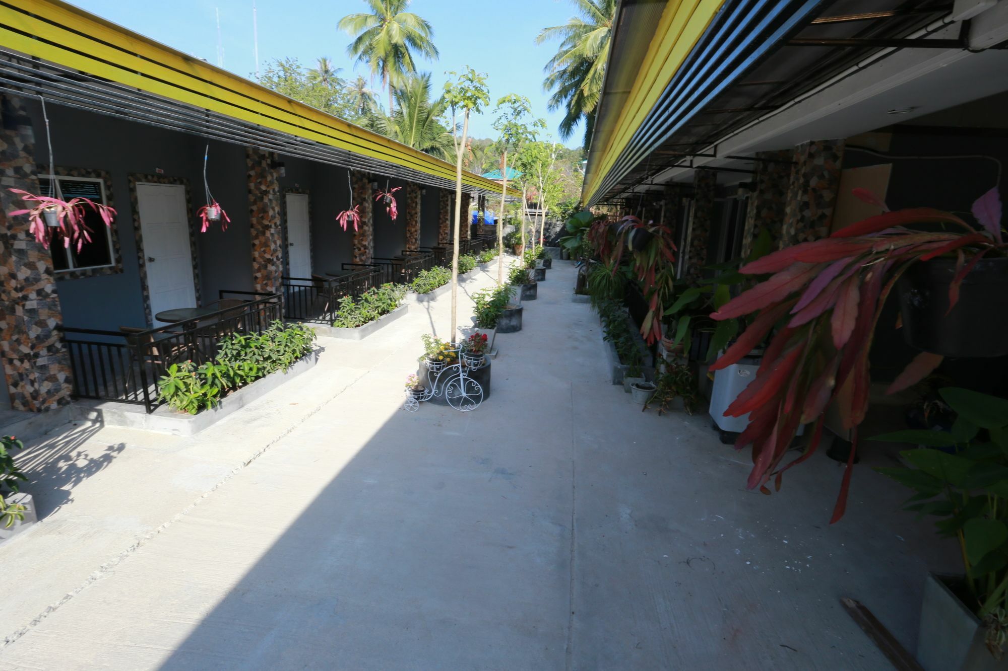 Greenery Resort Koh Tao Exteriör bild